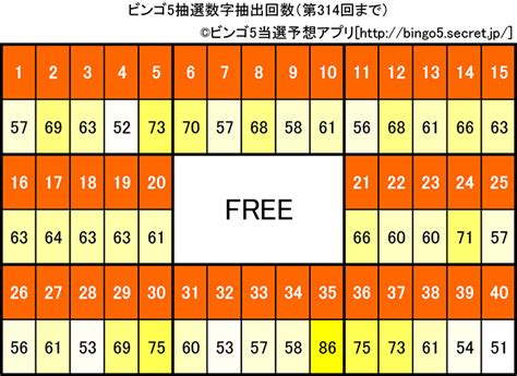 Bingo 5 .